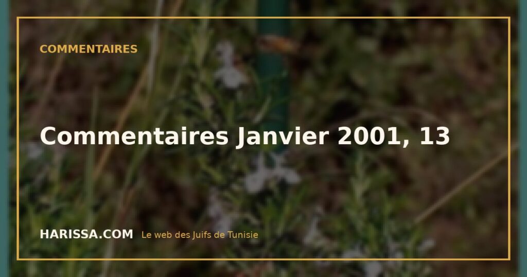 Commentaires Janvier 2001, 13