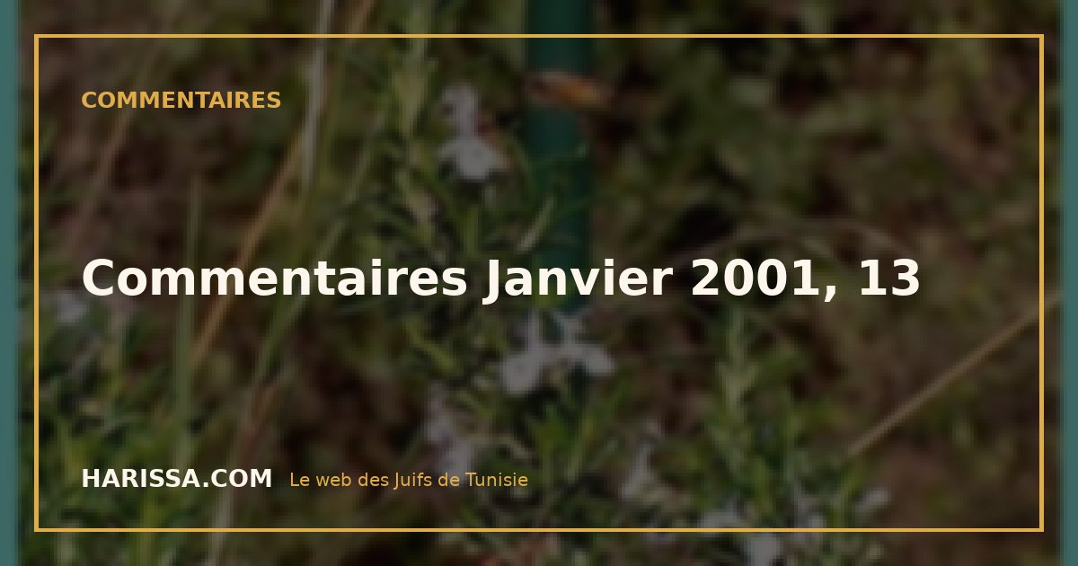 Commentaires Janvier 2001, 13
