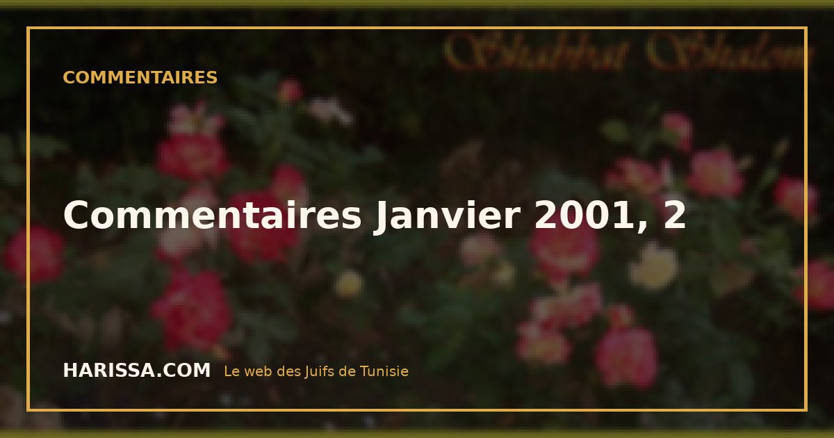 Commentaires Janvier 2001, 2