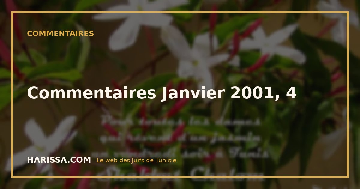 Commentaires Janvier 2001, 4