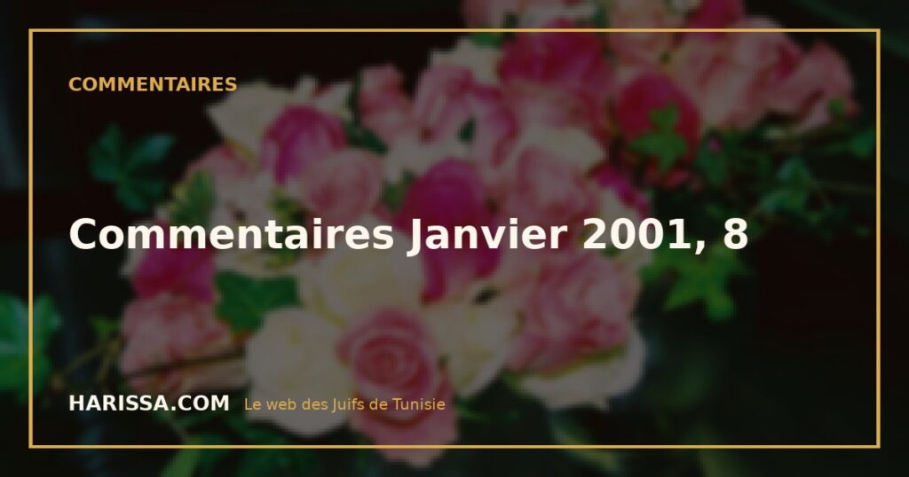 Commentaires Janvier 2001, 8