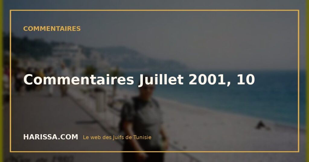 Commentaires Juillet 2001, 10
