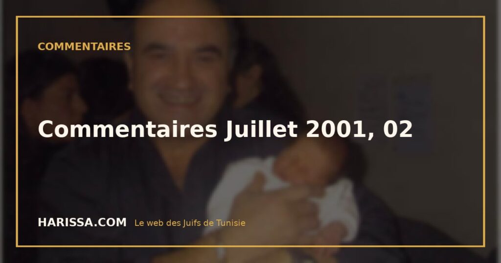 Commentaires Juillet 2001, 02