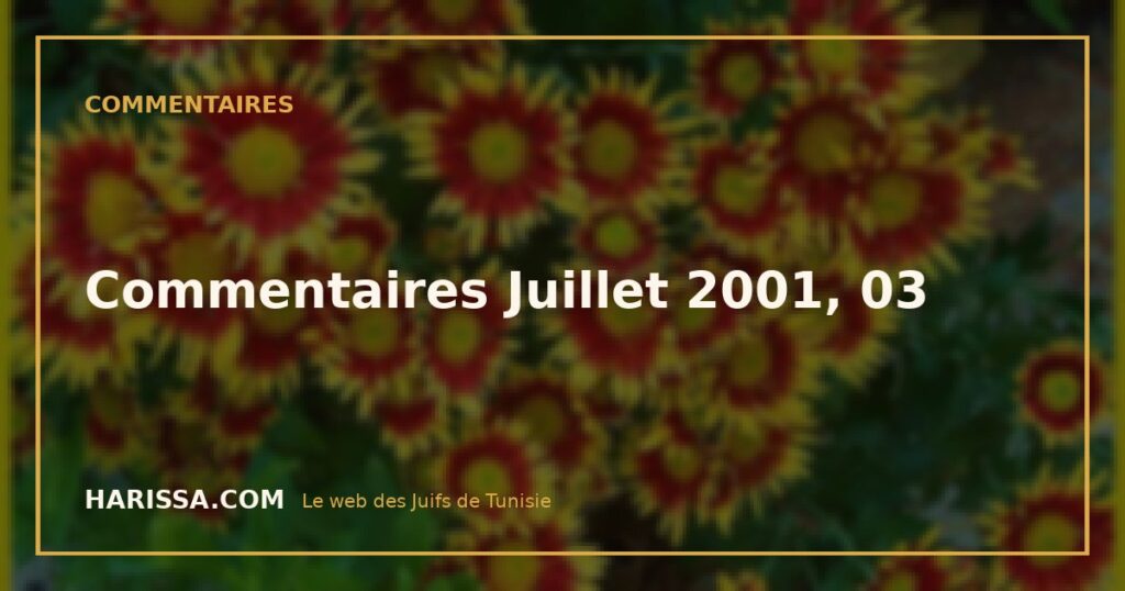 Commentaires Juillet 2001, 03