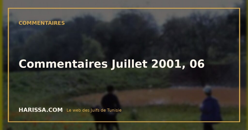 Commentaires Juillet 2001, 06