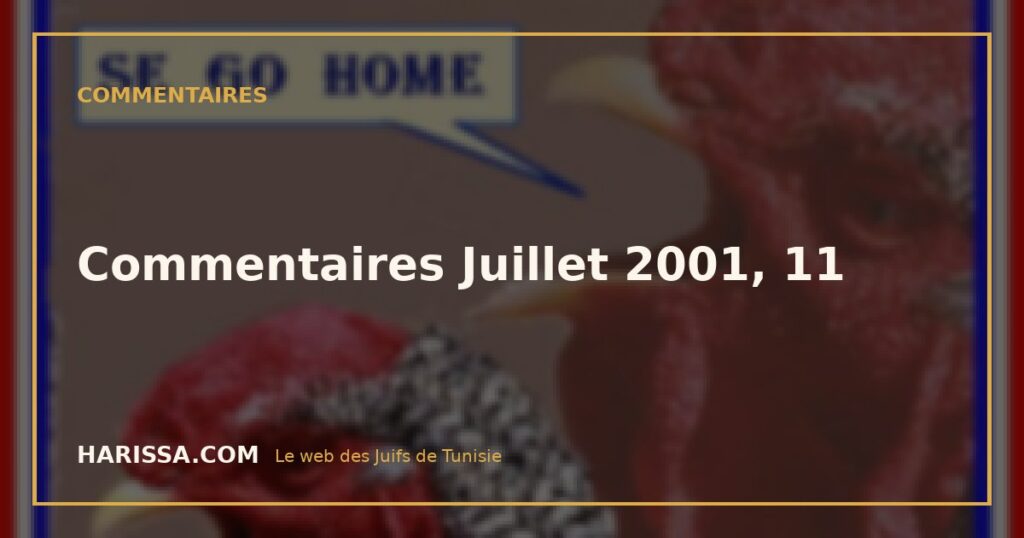 Commentaires Juillet 2001, 11