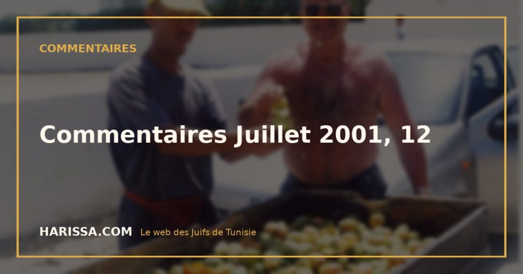 Commentaires Juillet 2001, 12