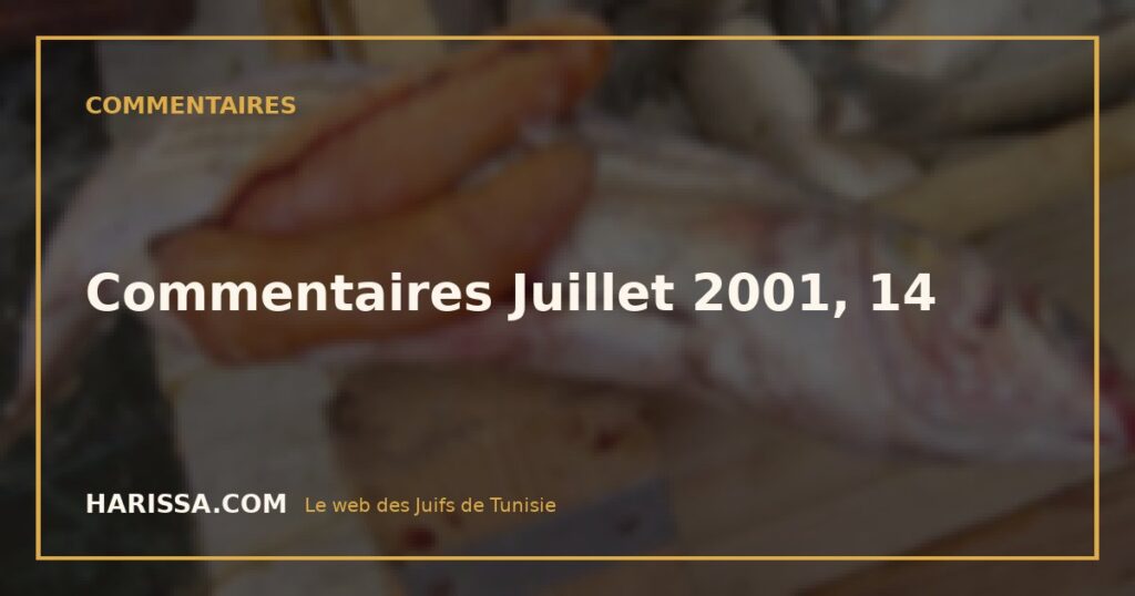 Commentaires Juillet 2001, 14