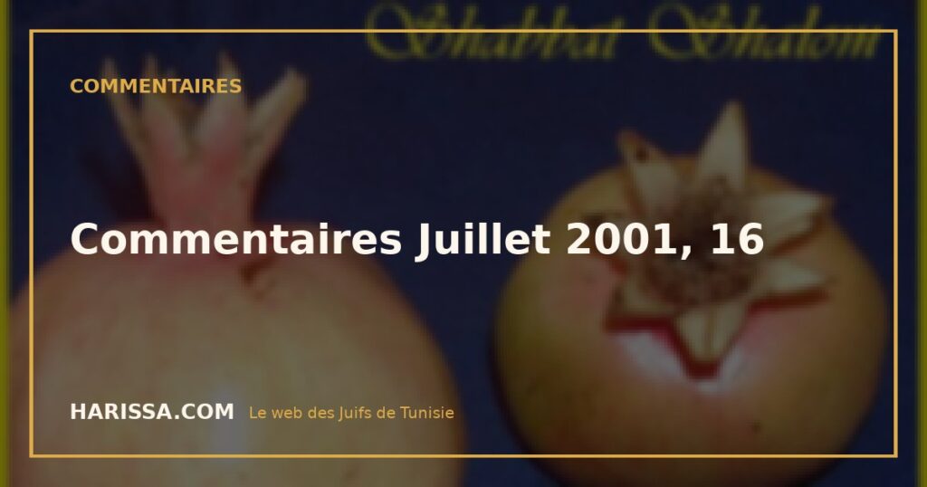 Commentaires Juillet 2001, 16