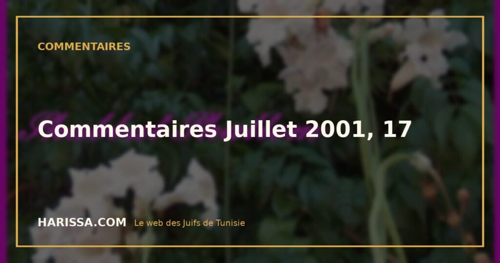 Commentaires Juillet 2001, 17