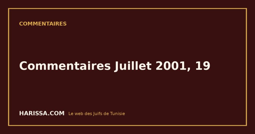 Commentaires Juillet 2001, 19