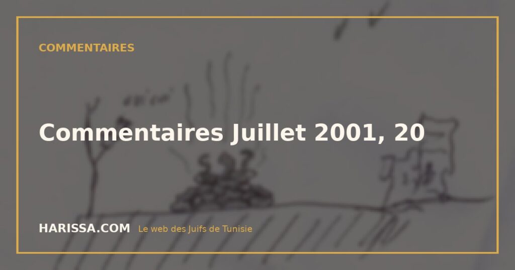 Commentaires Juillet 2001, 20
