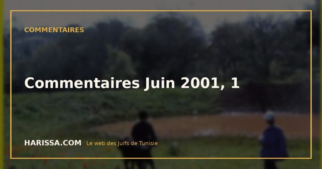 Commentaires Juin 2001, 1