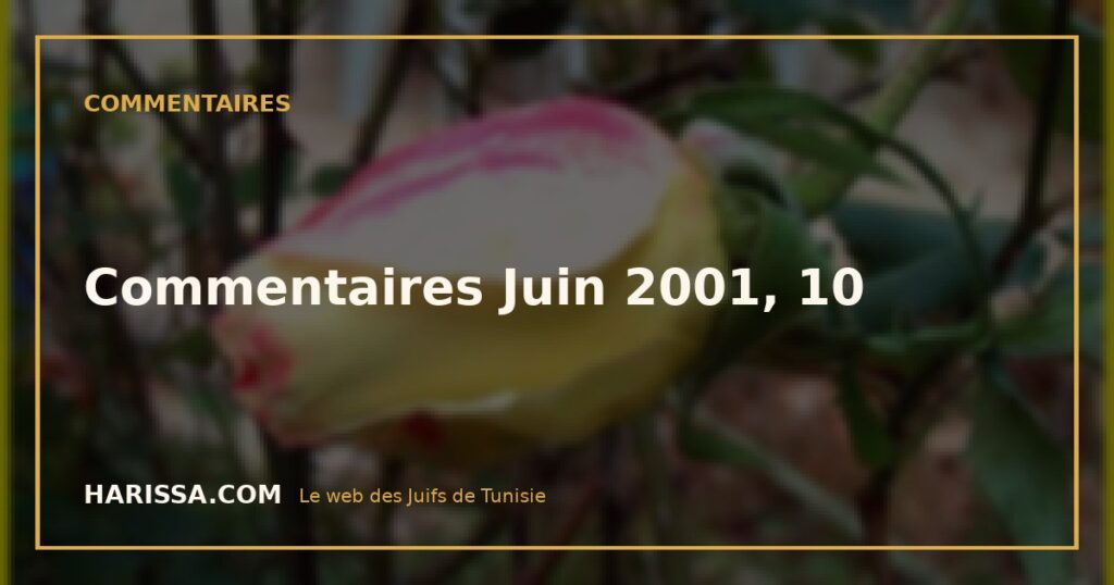 Commentaires Juin 2001, 10