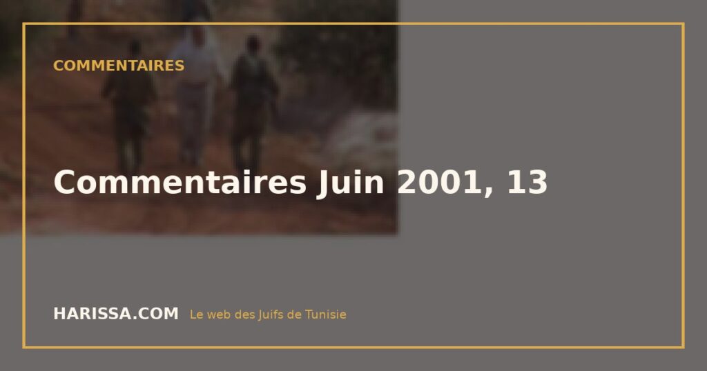 Commentaires Juin 2001, 13