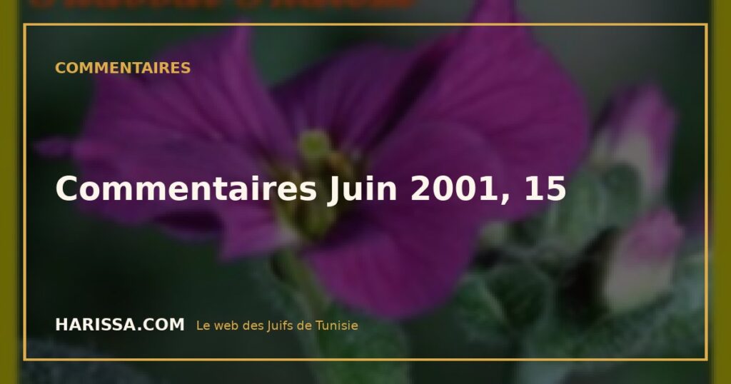 Commentaires Juin 2001, 15