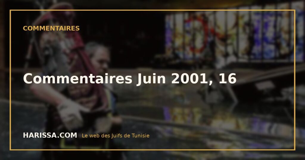 Commentaires Juin 2001, 16