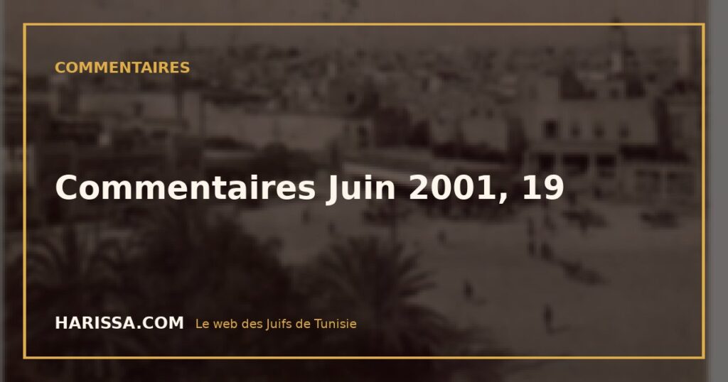 Commentaires Juin 2001, 19