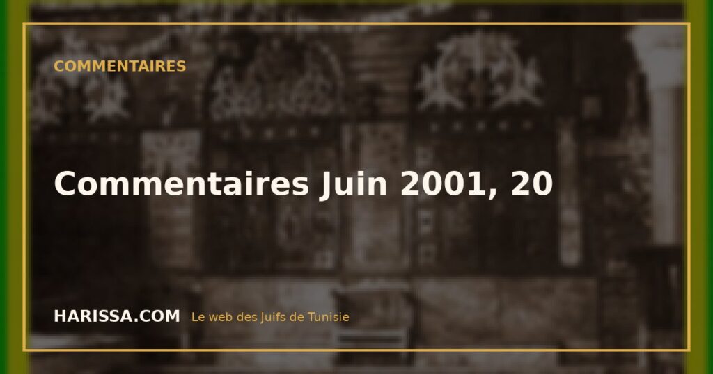 Commentaires Juin 2001, 20