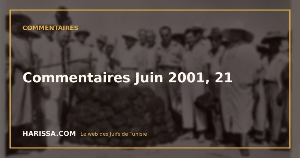 Commentaires Juin 2001, 21