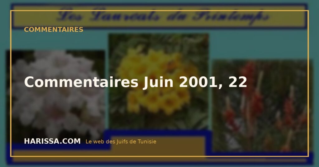 Commentaires Juin 2001, 22