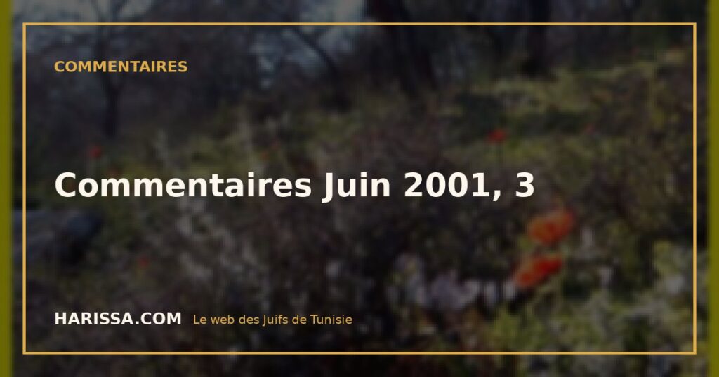 Commentaires Juin 2001, 3