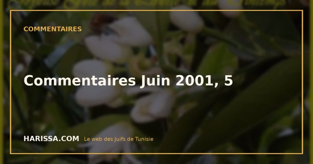 Commentaires Juin 2001, 5