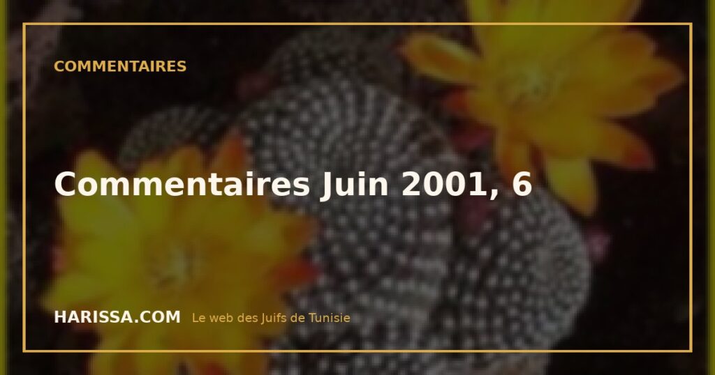 Commentaires Juin 2001, 6