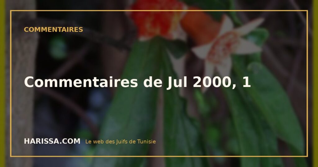 Commentaires de Jul 2000, 1