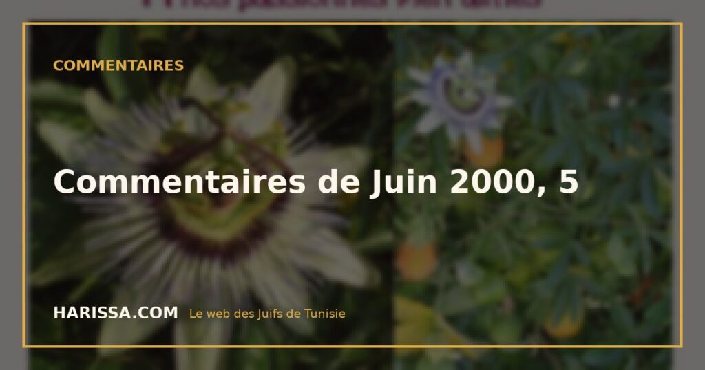 Commentaires de Juin 2000, 5 Commentaires de Juin 2000, 5