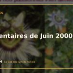 Commentaires de Juin 2000, 5