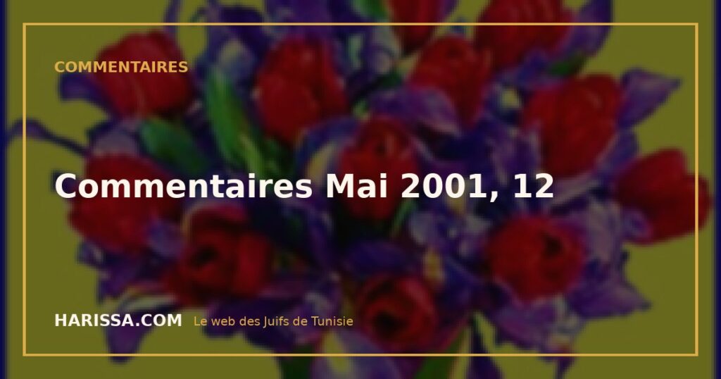 Commentaires Mai 2001, 12