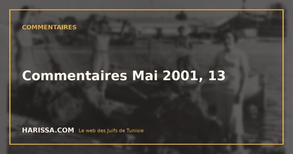 Commentaires Mai 2001, 13