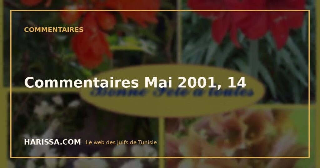 Commentaires Mai 2001, 14