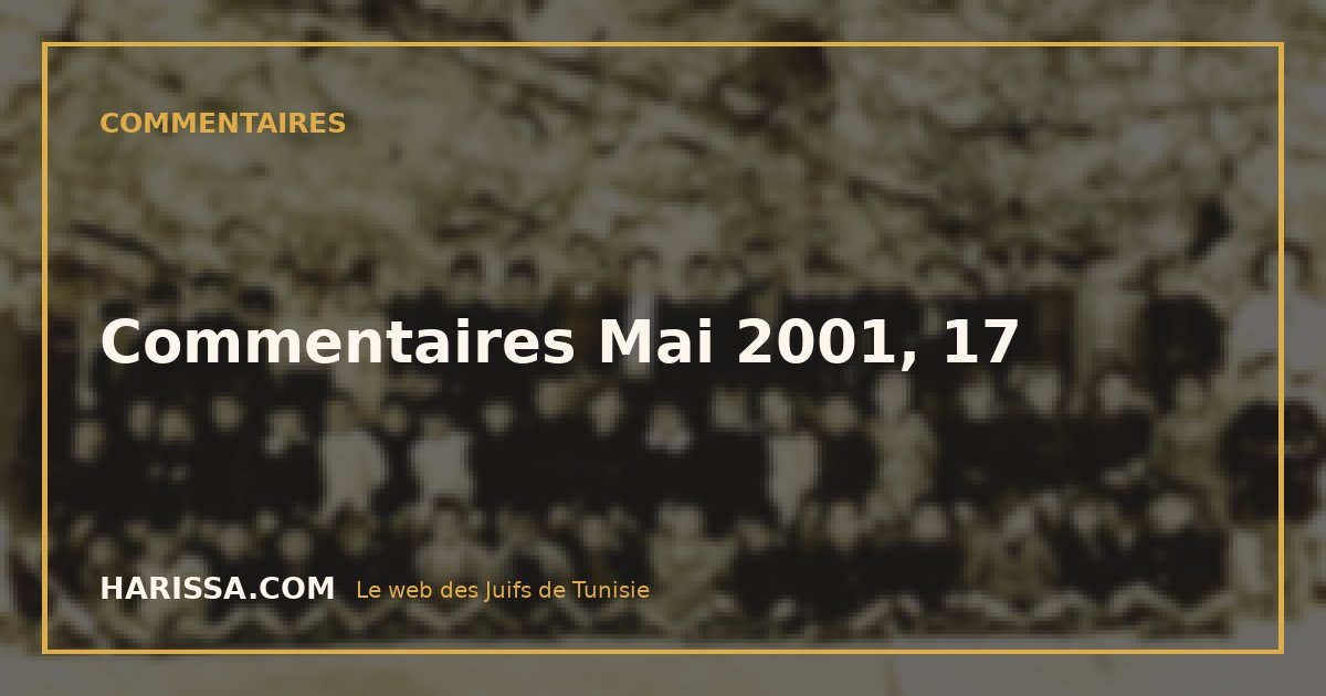Commentaires Mai 2001, 17