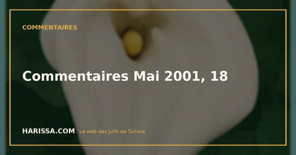 Commentaires Mai 2001, 18