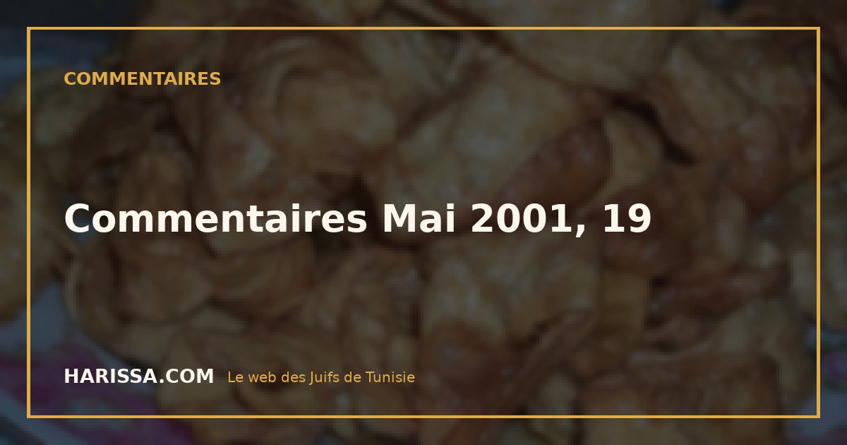 Commentaires Mai 2001, 19