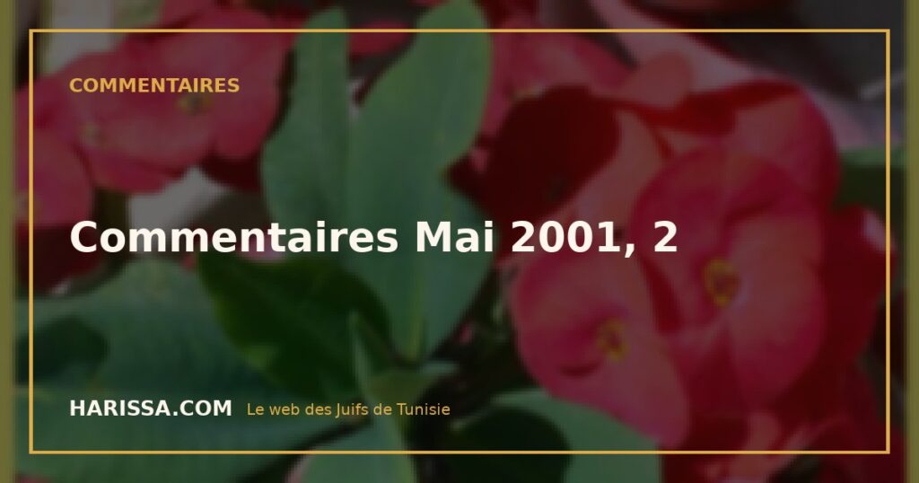 Commentaires Mai 2001, 2