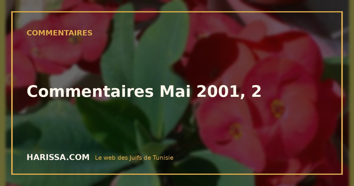 Commentaires Mai 2001, 2