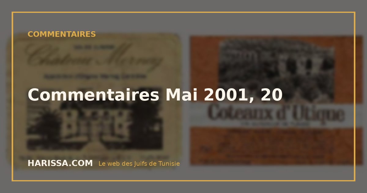 Commentaires Mai 2001, 20