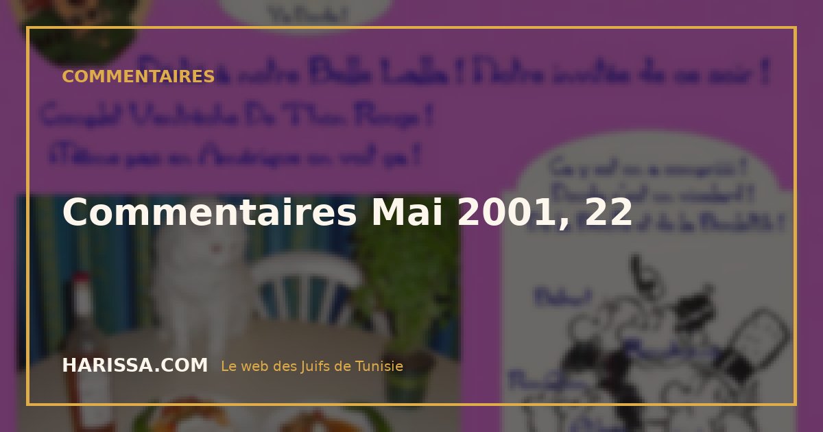 Commentaires Mai 2001, 22