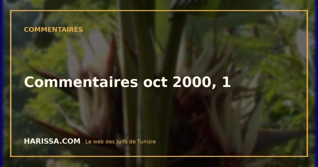 Commentaires oct 2000, 1