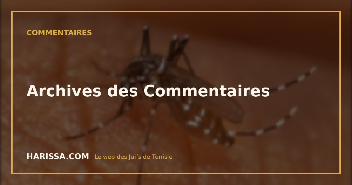 Archives des Commentaires