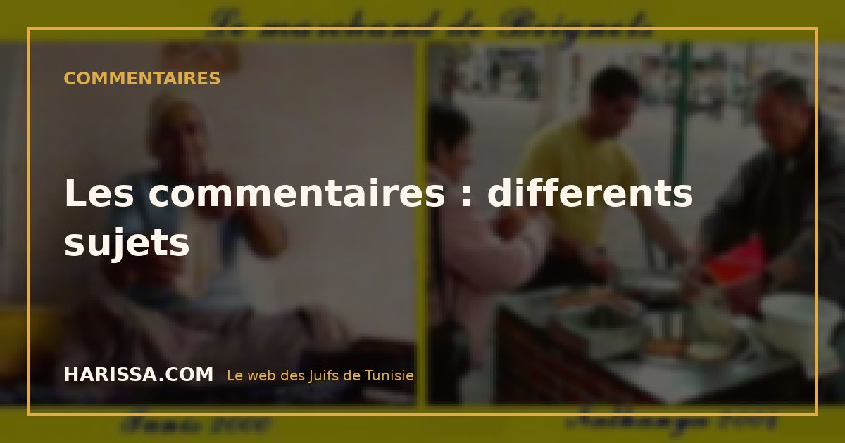 Les commentaires : differents sujets