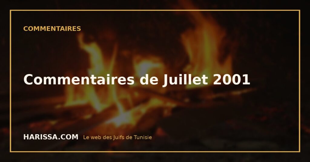 Commentaires de Juillet 2001