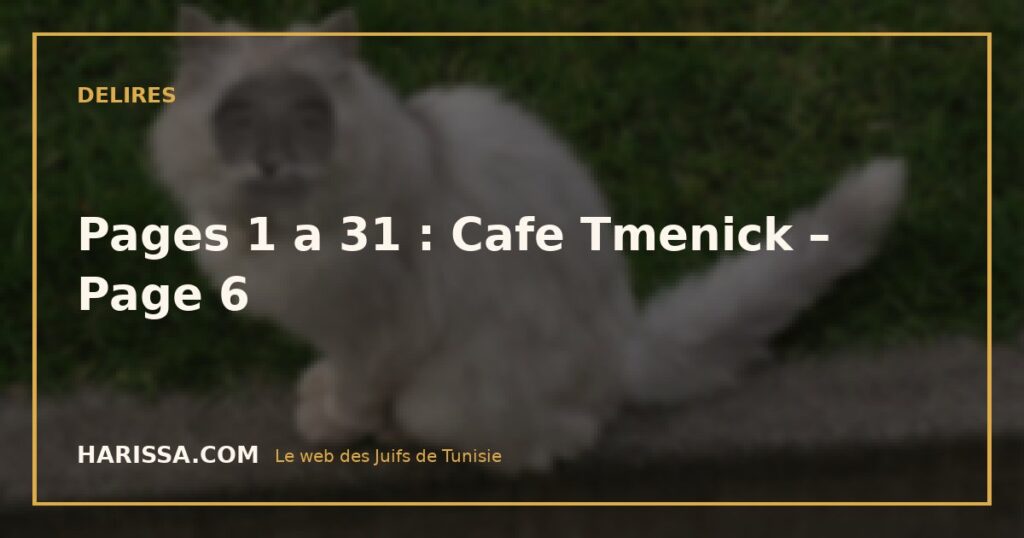 Pages 1 a 31 : Cafe Tmenick – Page 6