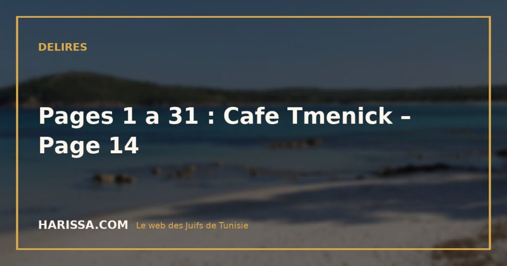 Pages 1 a 31 : Cafe Tmenick – Page 14