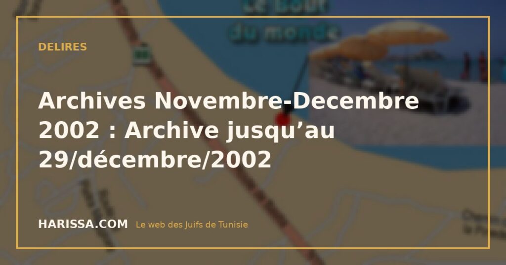 Archives Novembre-Decembre 2002 : Archive jusqu’au 29/décembre/2002