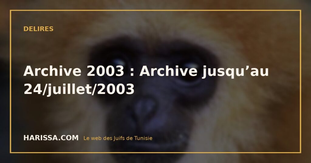 Archive 2003 : Archive jusqu’au 24/juillet/2003