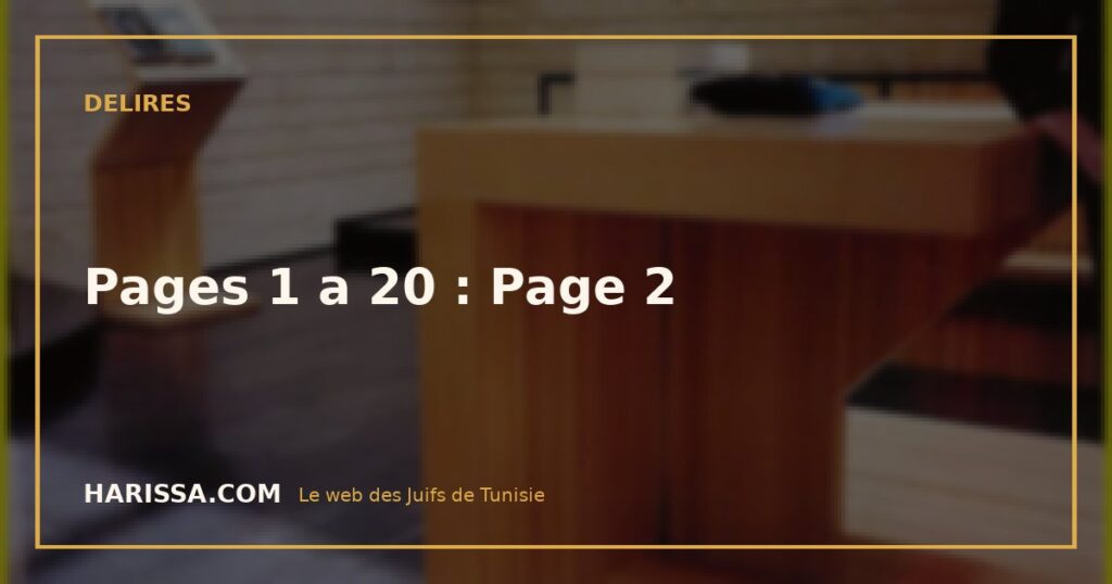 Pages 1 a 20 : Page 2